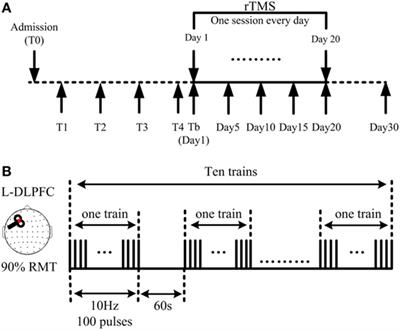 Effects of 10 Hz Repetitive Transcranial Magnetic Stimulation of the Left Dorsolateral Prefrontal Cortex in Disorders of Consciousness